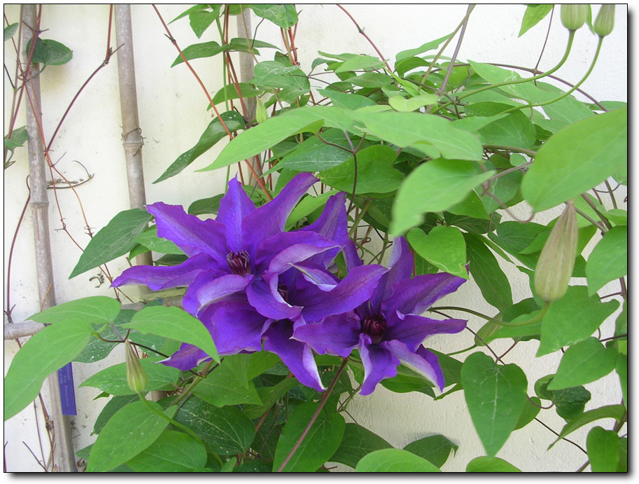 �̹����� Ŭ���ϸ� ������ ���� �� �ֽ��ϴ�.