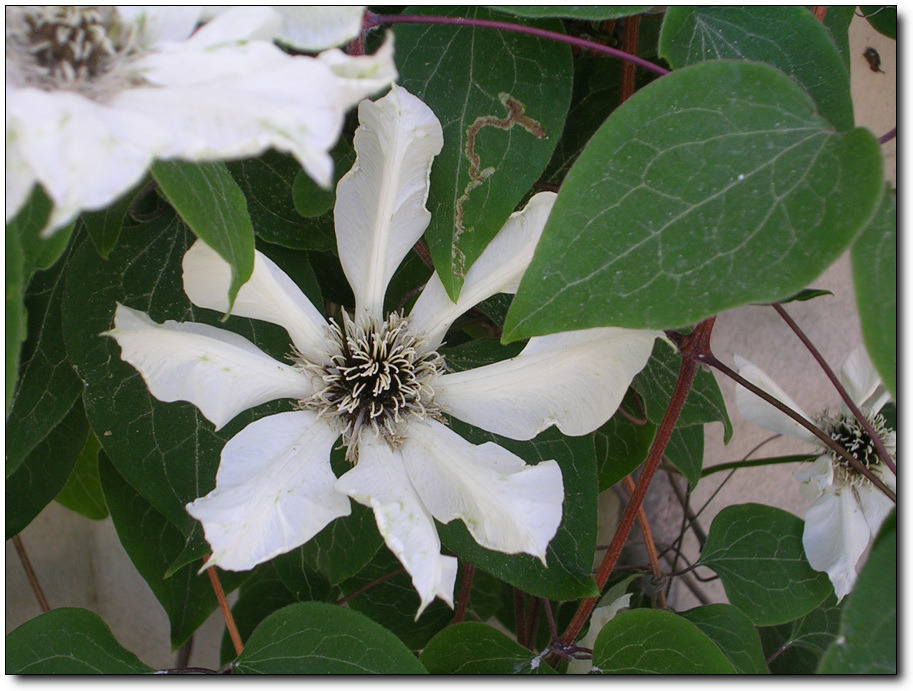 �̹����� Ŭ���ϸ� ������ ���� �� �ֽ��ϴ�.