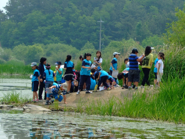 대구논공초등학교 이미지