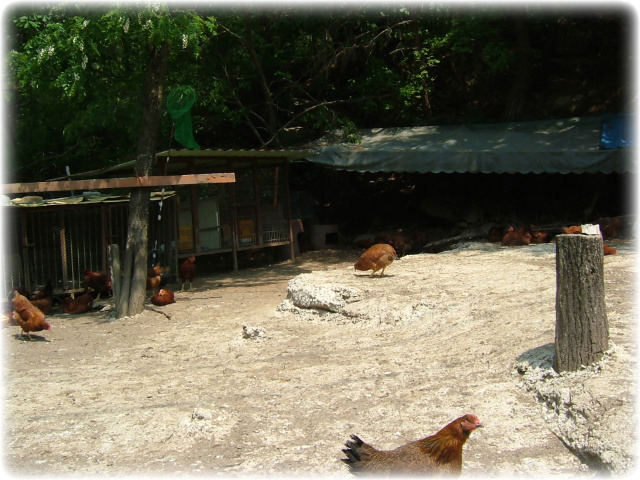 동산식당 이미지