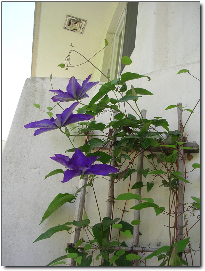 �̹����� Ŭ���ϸ� ������ ���� �� �ֽ��ϴ�.