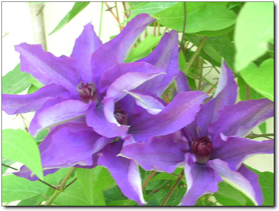 �̹����� Ŭ���ϸ� ������ ���� �� �ֽ��ϴ�.