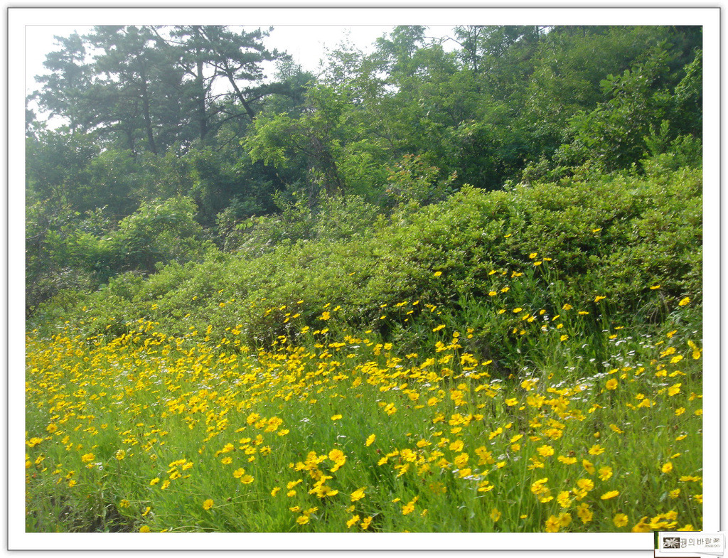 �̹����� Ŭ���ϸ� ������ ���� �� �ֽ��ϴ�.