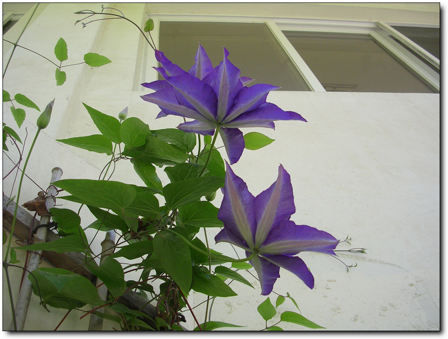 �̹����� Ŭ���ϸ� ������ ���� �� �ֽ��ϴ�.