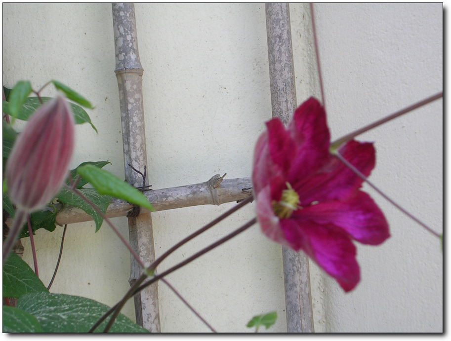 �̹����� Ŭ���ϸ� ������ ���� �� �ֽ��ϴ�.