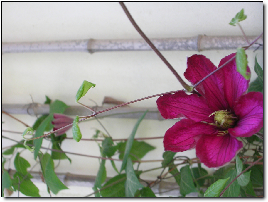 �̹����� Ŭ���ϸ� ������ ���� �� �ֽ��ϴ�.