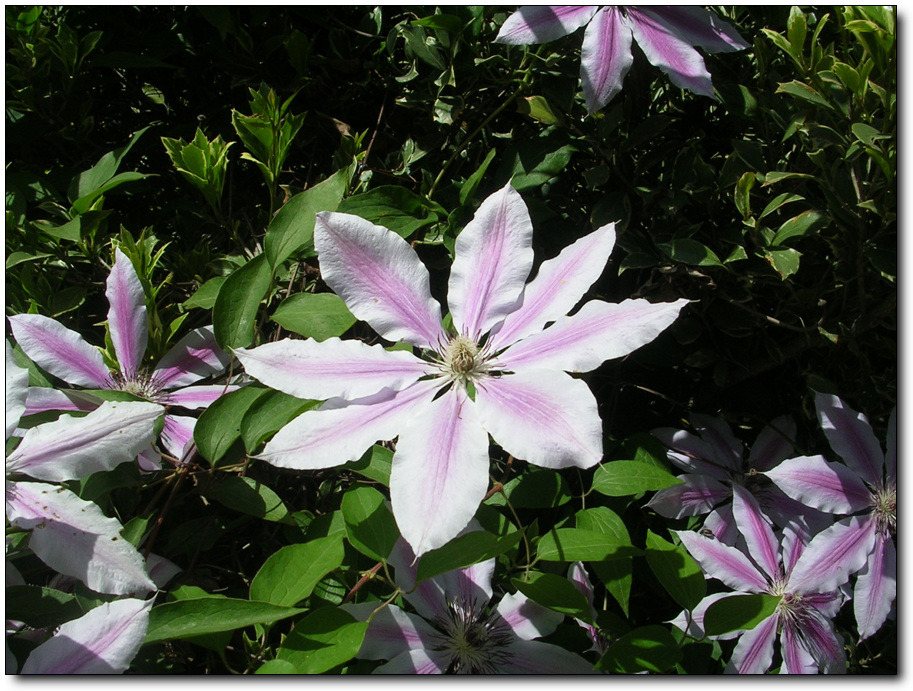 �̹����� Ŭ���ϸ� ������ ���� �� �ֽ��ϴ�.