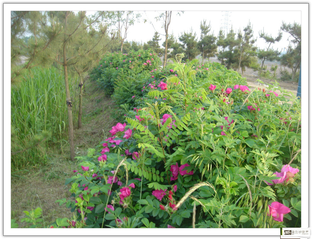 �̹����� Ŭ���ϸ� ������ ���� �� �ֽ��ϴ�.