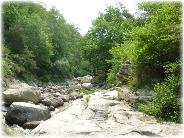동산식당 이미지
