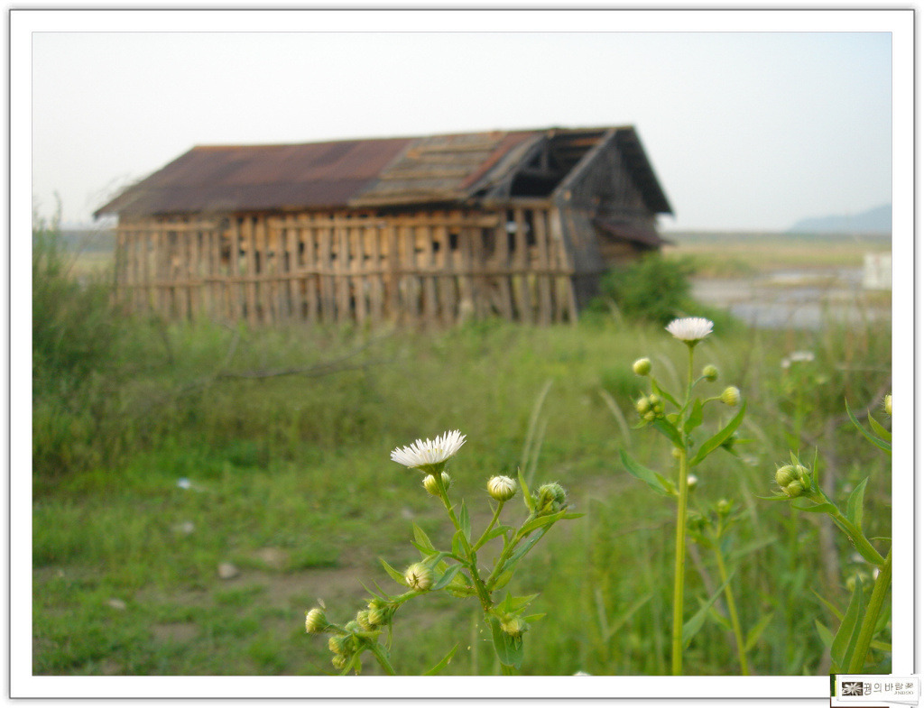 �̹����� Ŭ���ϸ� ������ ���� �� �ֽ��ϴ�.