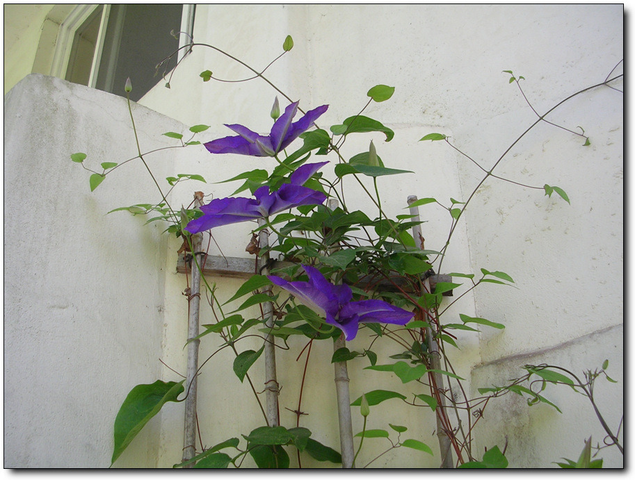 �̹����� Ŭ���ϸ� ������ ���� �� �ֽ��ϴ�.