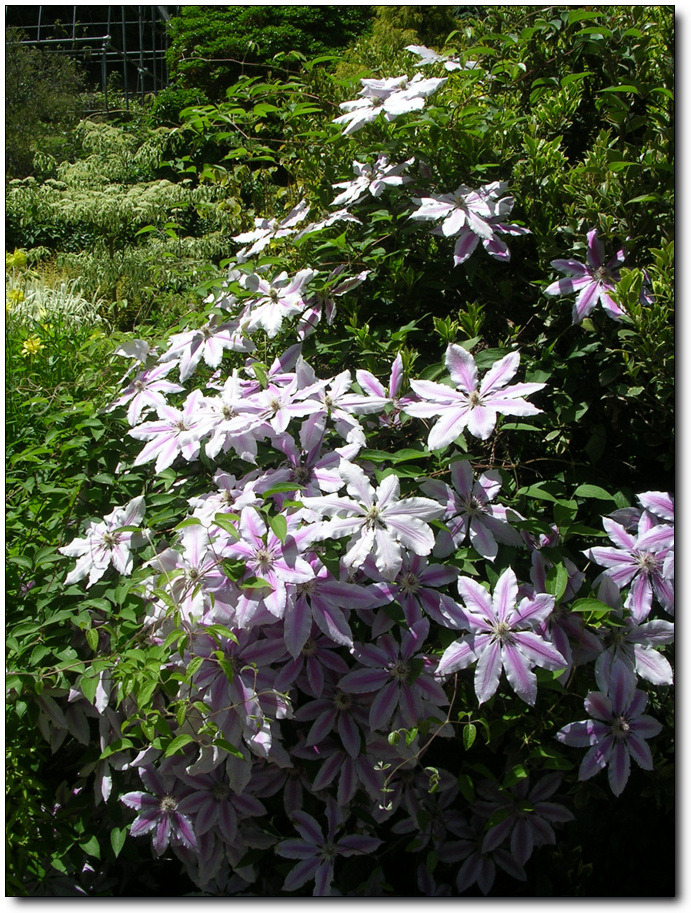 �̹����� Ŭ���ϸ� ������ ���� �� �ֽ��ϴ�.