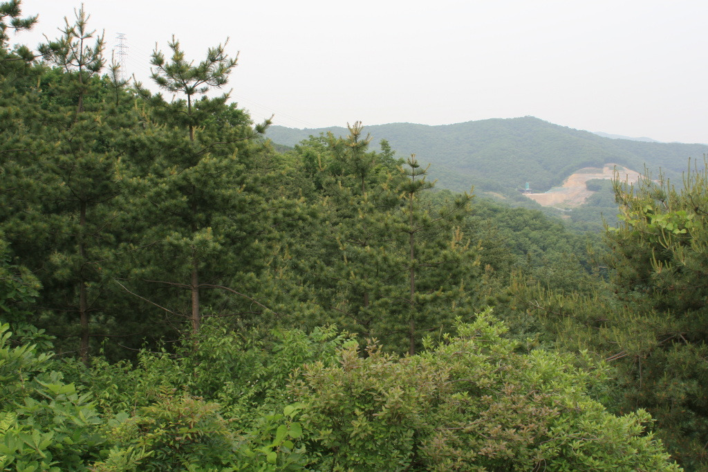 세종당 이미지