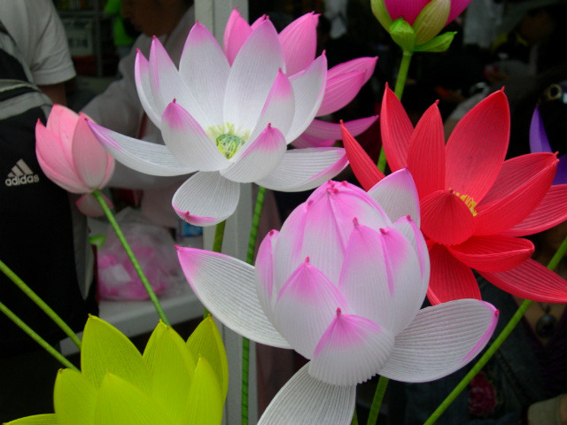 �̹����� Ŭ���ϸ� ������ ���� �� �ֽ��ϴ�.