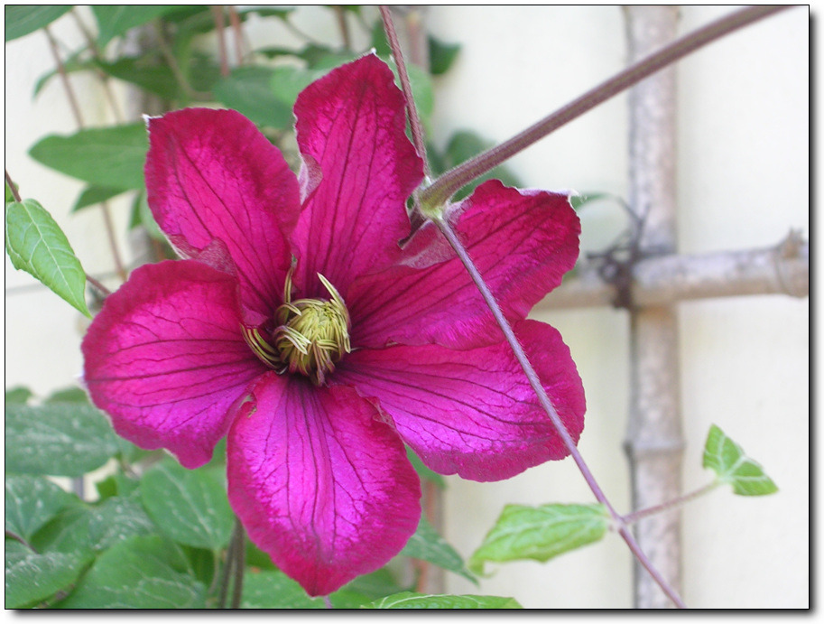 �̹����� Ŭ���ϸ� ������ ���� �� �ֽ��ϴ�.