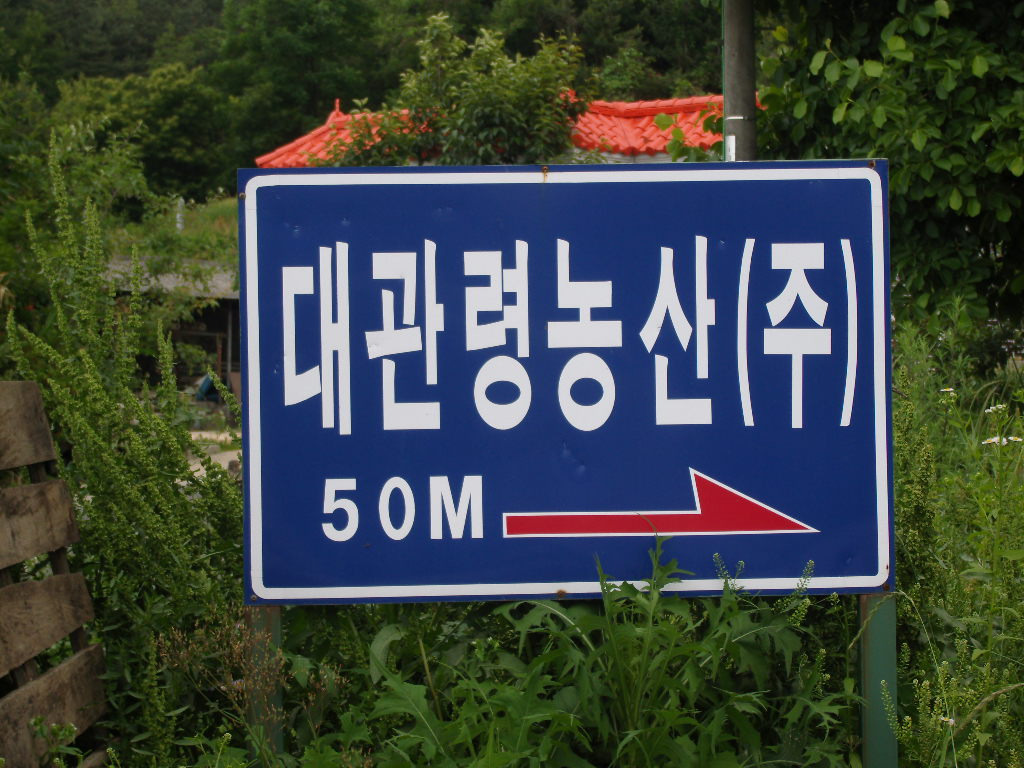 주식회사 대송 이미지