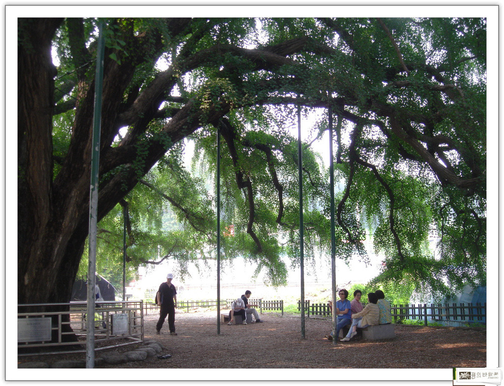 �̹����� Ŭ���ϸ� ������ ���� �� �ֽ��ϴ�.